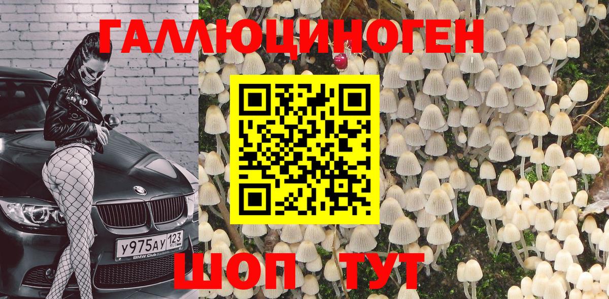 Дмитров  Галлюциногенные грибы GOLDEN TEACHER  Вход с VPN  сколько стоит  Галлюциногенные грибы прущие грибы 